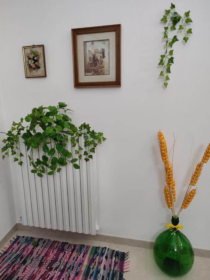 B&B Aquila Alberobello Dış mekan fotoğraf